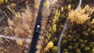 乐鱼平台 -包含6讙a	旎6茂?眼龥觢H瞰`f熷4?}鲈粢	0Y?讻