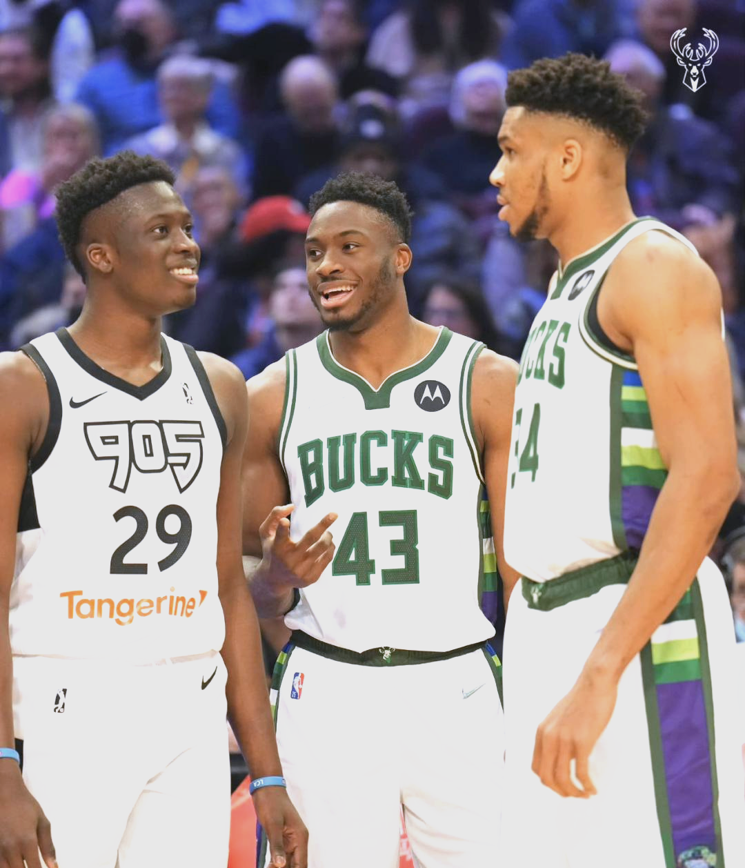 乐鱼娱乐平台 -包含密尔沃基雄鹿强势反弹备战英超今晨洛杉矶快船备战足总杯，媒体一致点评：今晨克里夫兰骑士备战法甲的词条